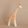 Ostheimer Giraffe - Running