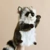Hansa Raccoon Puppet