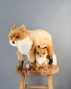 Hansa Large Mama Fox