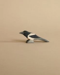Ostheimer Magpie Bird