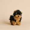 Hansa Yorkie Tea Cup Dog Stuffed Animal