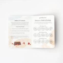 Slumberkins Fox Kin + Lesson Book - Family Change -Odin Parker Toys 3f4838c2be6d21d6047cfda11c2c39037d706b07a2c19efa900c4db64e634581 jpeg