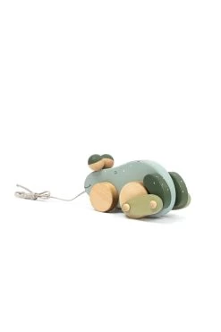 Handmade Pull Along Frog Toy -Odin Parker Toys 99f075796f3b2b6a207e9d877c78c5549247e4f59b3648cde72ac09d8f371c20 jpeg