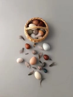 A Dozen Wooden Bird Eggs In A Basket -Odin Parker Toys Moon Picnic A Dozen Bird Eggs 1 web jpg