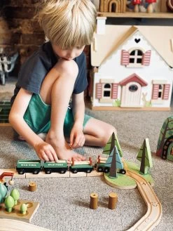 Tender Leaf Toys Wild Pines Train Set -Odin Parker Toys TL8702 wild pines train set 12 jpg